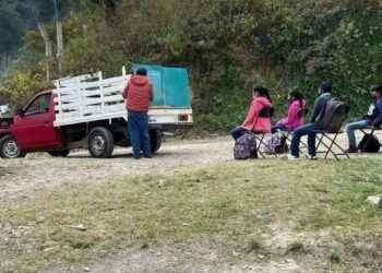 Luciérnagas del día y la noche.