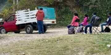 Luciérnagas del día y la noche.