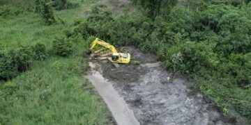 Drenaje de pantanos en La Primavera es una realidad.