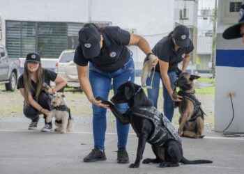 Policía Nacional Sub Zona Sucumbíos finalizo curso de adiestramiento canino.