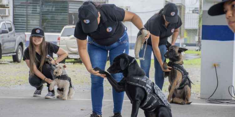 Policía Nacional Sub Zona Sucumbíos finalizo curso de adiestramiento canino.