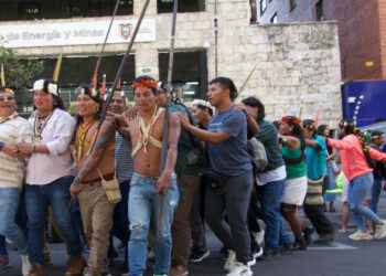 Se inicia fase de seguimiento sobre el Yasuní.