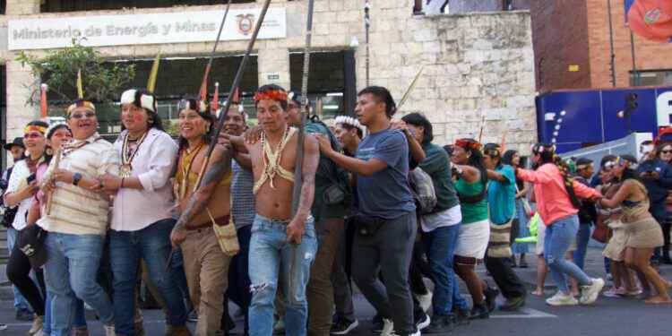 Se inicia fase de seguimiento sobre el Yasuní.
