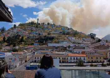 Policía detiene a presunto causante del incendio en El Panecillo.
