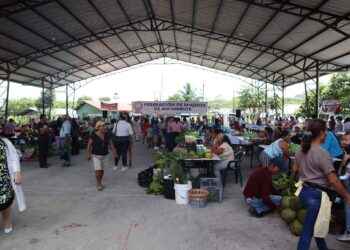 Con éxito se desarrolló la XI Feria de conocimientos por parte de la FMS.