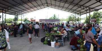 Con éxito se desarrolló la XI Feria de conocimientos por parte de la FMS.