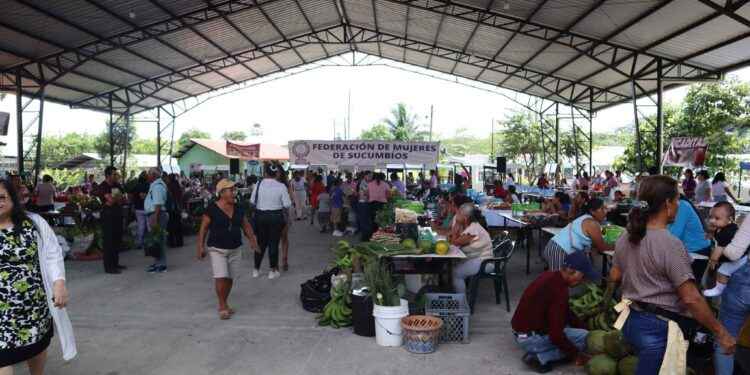 Con éxito se desarrolló la XI Feria de conocimientos por parte de la FMS.