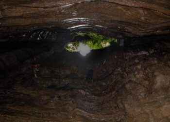 LA CUEVA DE LOS TAYOS ATRAE RENOVADO INTERÉS CIENTÍFICO