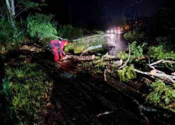 Bomberos de Lago Agrio despejan vías afectadas por caída de árboles tras intensas lluvias