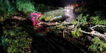 Bomberos de Lago Agrio despejan vías afectadas por caída de árboles tras intensas lluvias