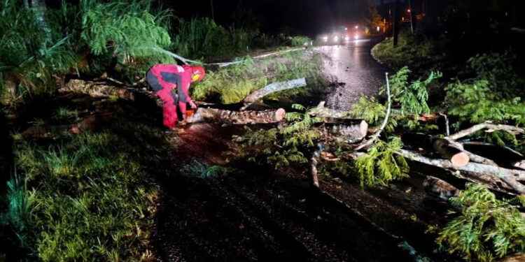Bomberos de Lago Agrio despejan vías afectadas por caída de árboles tras intensas lluvias