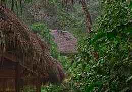 Niñez indígena en riesgo: violencia y vulneración de derechos en la Amazonía