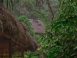 Niñez indígena en riesgo: violencia y vulneración de derechos en la Amazonía