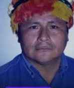 Borrador automático