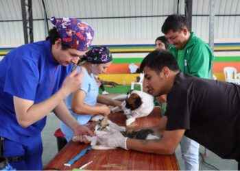 MUNICIPIO DE LAGO AGRIO IMPULSA CAMPAÑA GRATUITA DE ESTERILIZACIÓN DE MASCOTAS EN ZONAS URBANA Y RURAL