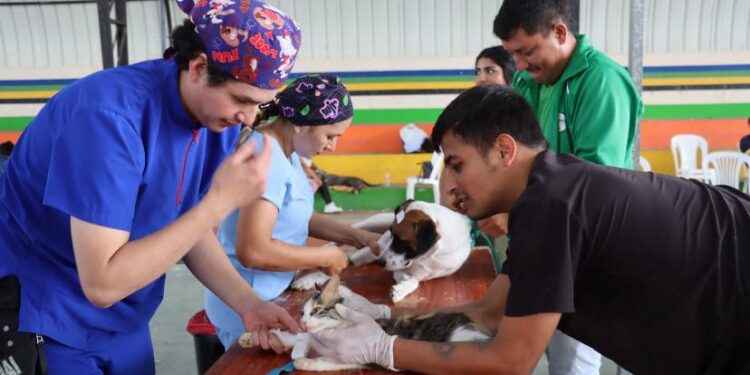 MUNICIPIO DE LAGO AGRIO IMPULSA CAMPAÑA GRATUITA DE ESTERILIZACIÓN DE MASCOTAS EN ZONAS URBANA Y RURAL