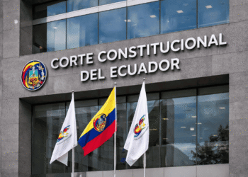 Corte Constitucional impide al Estado concesionar los servicios eléctricos a empresas privadas