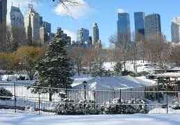 Condiciones climáticas extremas en EE. UU. obligan a cancelar vuelos desde Quito y Guayaquil