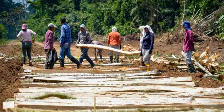 PREFECTURA DE SUCUMBÍOS IMPULSA EL DESARROLLO RURAL CON OBRA DE LASTRADO EN DURENO