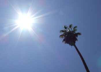 ALERTA POR OLA DE CALOR EN ECUADOR: AUTORIDADES Y EXPERTOS ADVIERTEN RIESGOS Y MEDIDAS URGENTES DE PREVENCIÓN