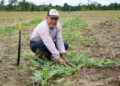 PREFECTURA DE SUCUMBÍOS ENTREGA PAQUETES AGROPRODUCTIVOS A PRODUCTORES DE SHUSHUFINDI