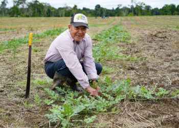 PREFECTURA DE SUCUMBÍOS ENTREGA PAQUETES AGROPRODUCTIVOS A PRODUCTORES DE SHUSHUFINDI