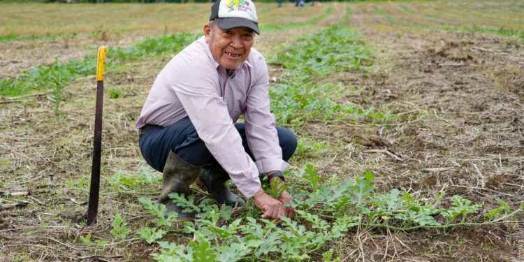 PREFECTURA DE SUCUMBÍOS ENTREGA PAQUETES AGROPRODUCTIVOS A PRODUCTORES DE SHUSHUFINDI