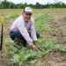 PREFECTURA DE SUCUMBÍOS ENTREGA PAQUETES AGROPRODUCTIVOS A PRODUCTORES DE SHUSHUFINDI