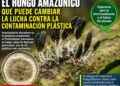 EL HONGO AMAZÓNICO QUE PUEDE CAMBIAR LA LUCHA CONTRA LA CONTAMINACIÓN PLÁSTICA