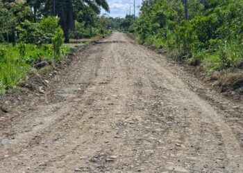 PREFECTURA DE SUCUMBÍOS EJECUTA MANTENIMIENTO VIAL EN EL NORTE DE SANTA CECILIA