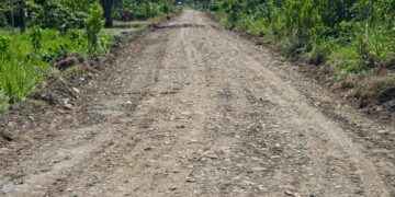 PREFECTURA DE SUCUMBÍOS EJECUTA MANTENIMIENTO VIAL EN EL NORTE DE SANTA CECILIA