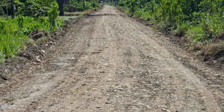 PREFECTURA DE SUCUMBÍOS EJECUTA MANTENIMIENTO VIAL EN EL NORTE DE SANTA CECILIA