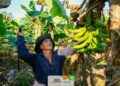 CON LÁGRIMAS EN LOS OJOS: AGRICULTORES DE SUCUMBÍOS CELEBRAN QUE SU PLÁTANO LLEGARÁ A EUROPA Y ESTADOS UNIDOS